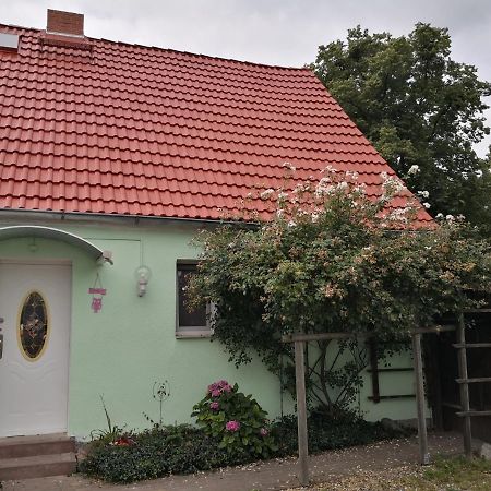 Ferienwohnung Wroblewsky Klein Ziethen Εξωτερικό φωτογραφία
